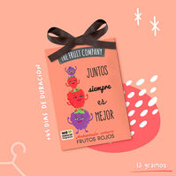 Ambientador Armario Frutos Rojos  1ud.-205418 Ambientador Armario Frutos Rojos  1ud.-205418 1